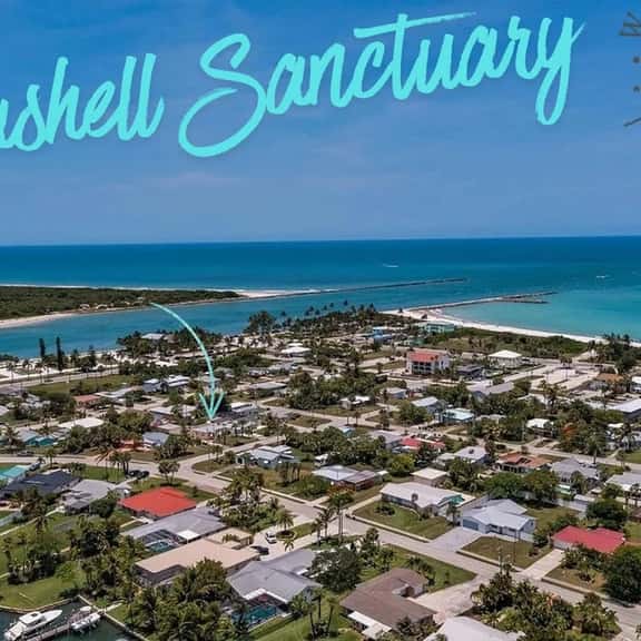 Seashell Sanctuary - Image 1