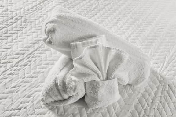 Studio Villa 9955 - Image 3
